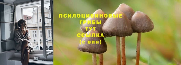 крисы Карпинск
