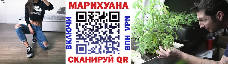 МАРИХУАНА сатива Нариманов